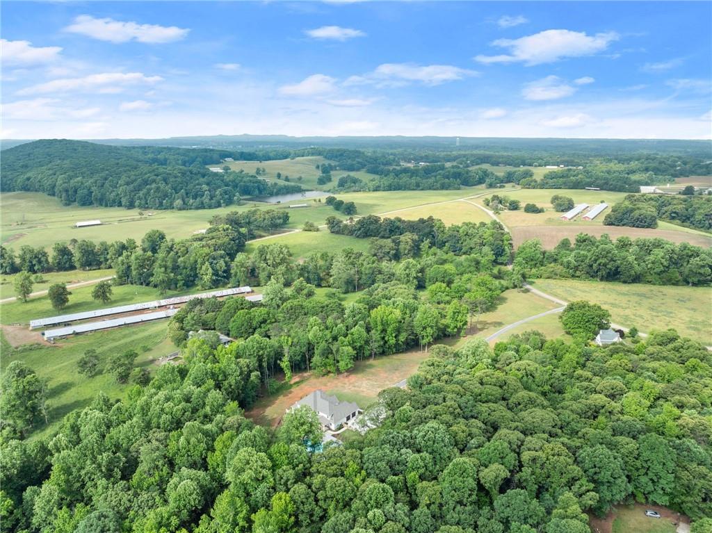 6998 Britt Gailey Road Clermont, GA 30527 - Photo 85 of 92