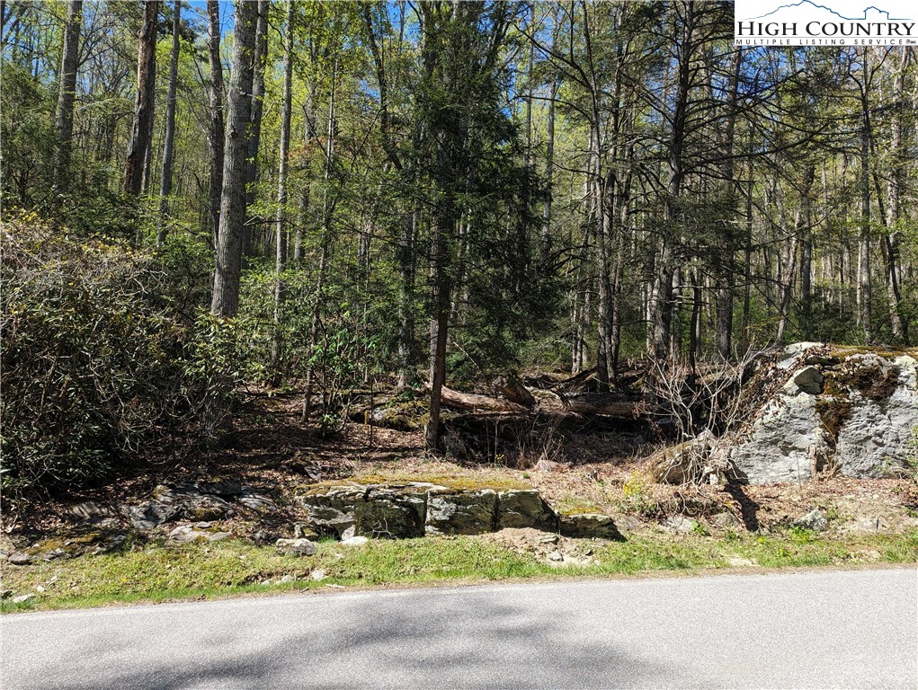 Evergreen Boone, NC 28607 - Photo 1 of 12 a view of a yard with large trees