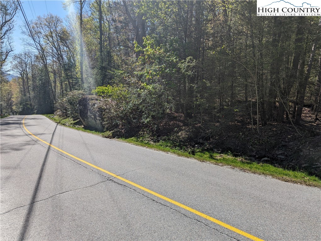 Evergreen Boone, NC 28607 - Photo 3 of 12 a view of a street with a bench under a large tree