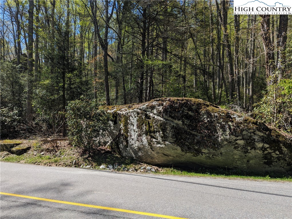 Evergreen Boone, NC 28607 - Photo 4 of 12 a view of a backyard of the house