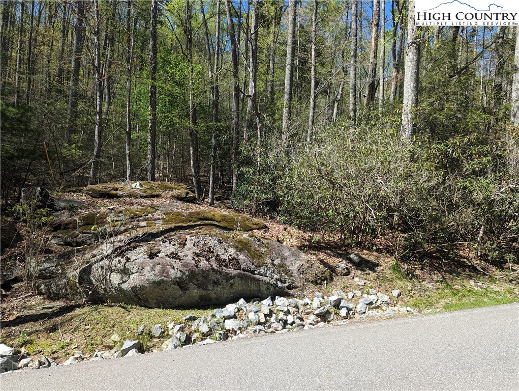 Evergreen Boone, NC 28607 - Photo 5 of 12 a view of a backyard of a house