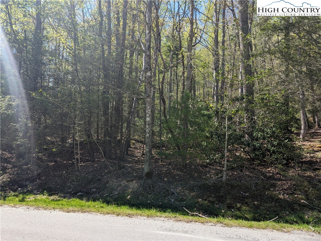 Evergreen Boone, NC 28607 - Photo 6 of 12 a view of a yard with trees