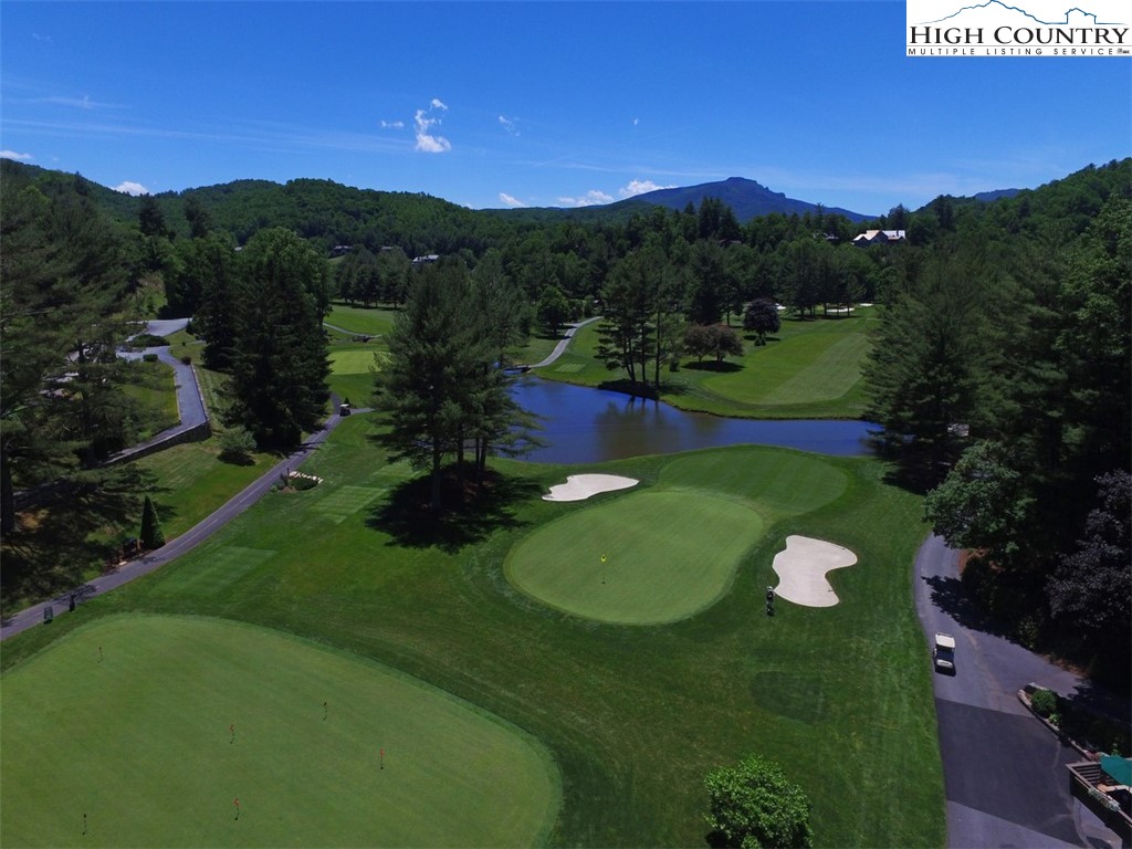 Evergreen Boone, NC 28607 - Photo 8 of 12