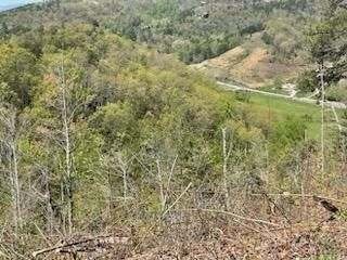 27 Grouse Ridge Lane Sevierville, TN 37862 - Photo 6 of 9