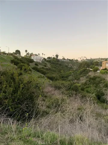 a view of a yard with an outdoor space