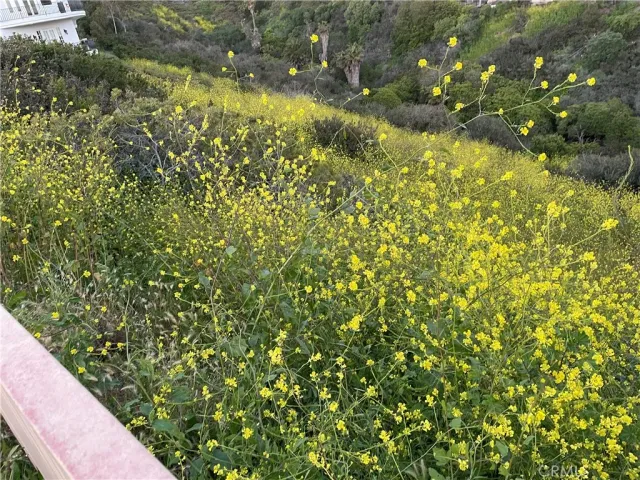 a view of street with bridge