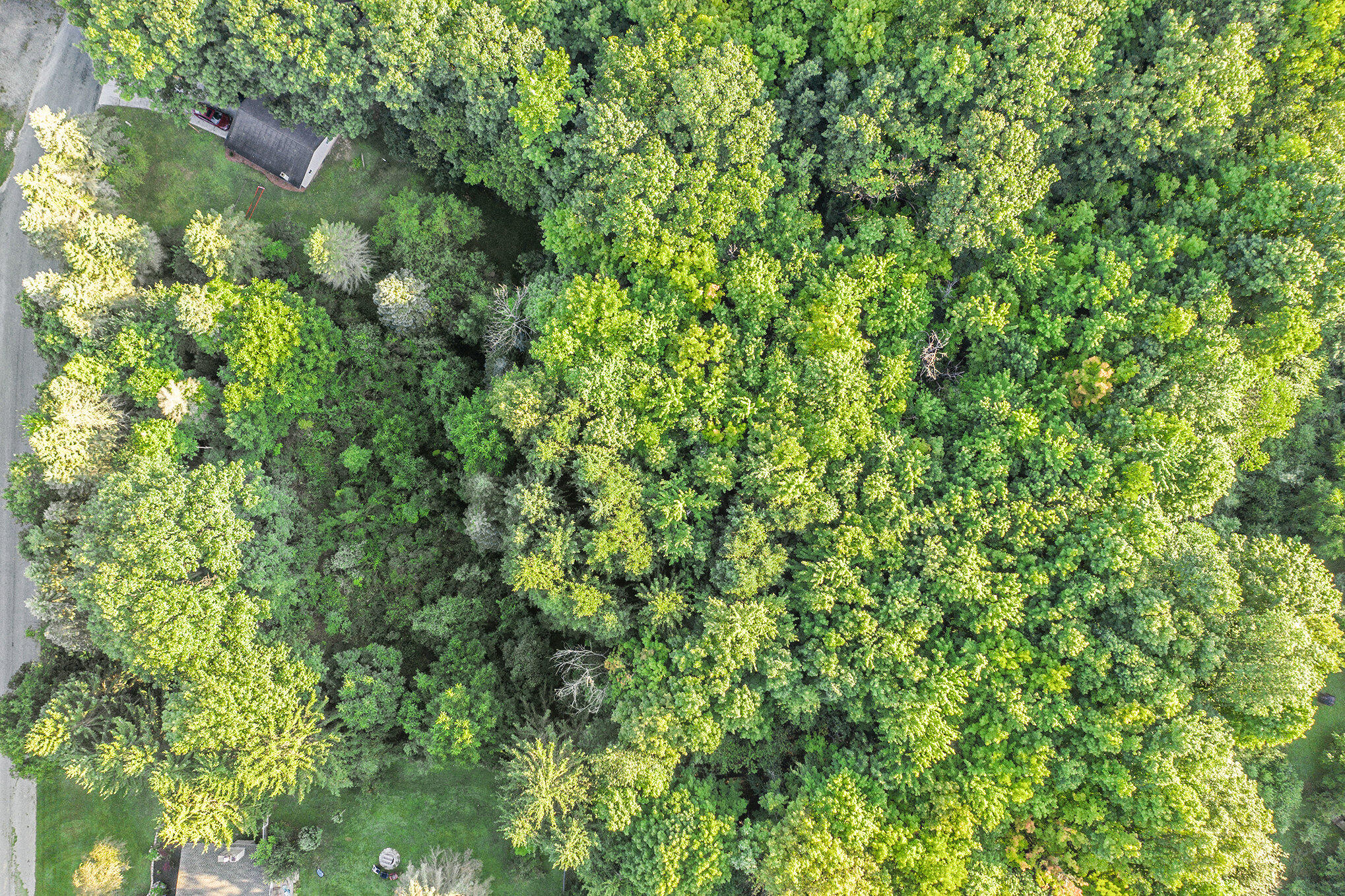 1266 North Cedar Lane Road Scottville, MI 49454 - Photo 16 of 21 Potential for Customization