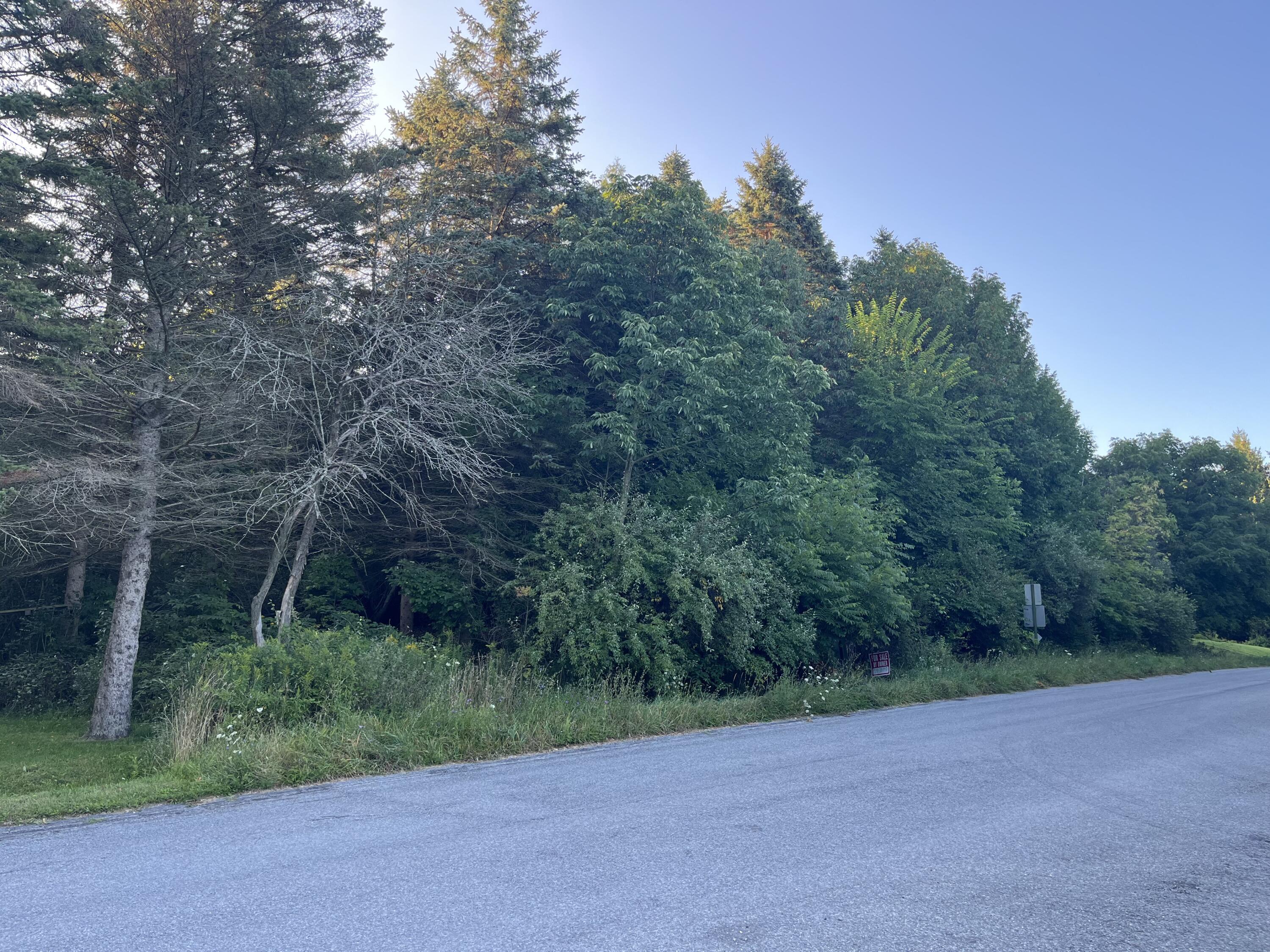 1266 North Cedar Lane Road Scottville, MI 49454 - Photo 17 of 21 Close up Cedar Lane