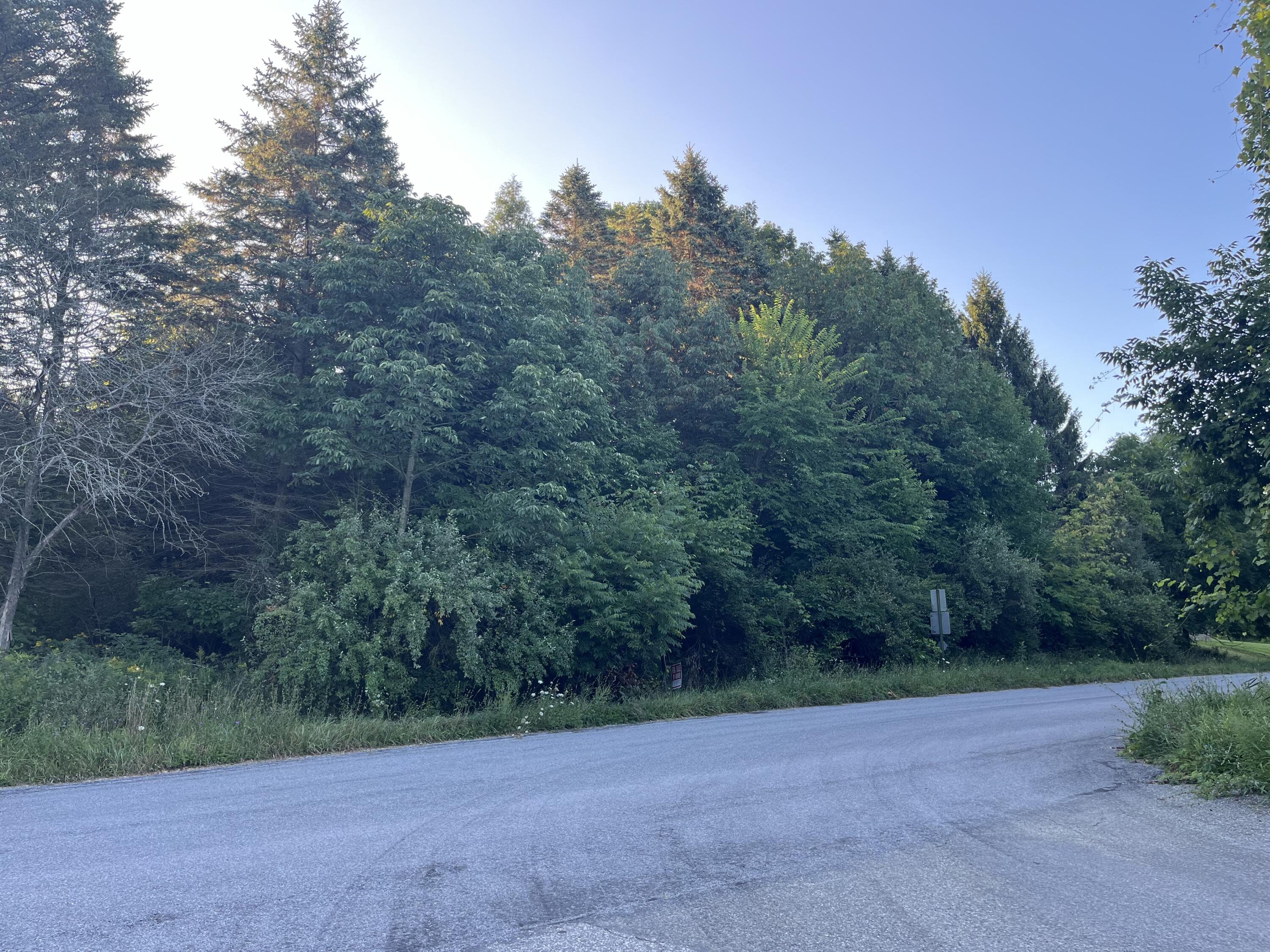 1266 North Cedar Lane Road Scottville, MI 49454 - Photo 18 of 21 vacant land 2