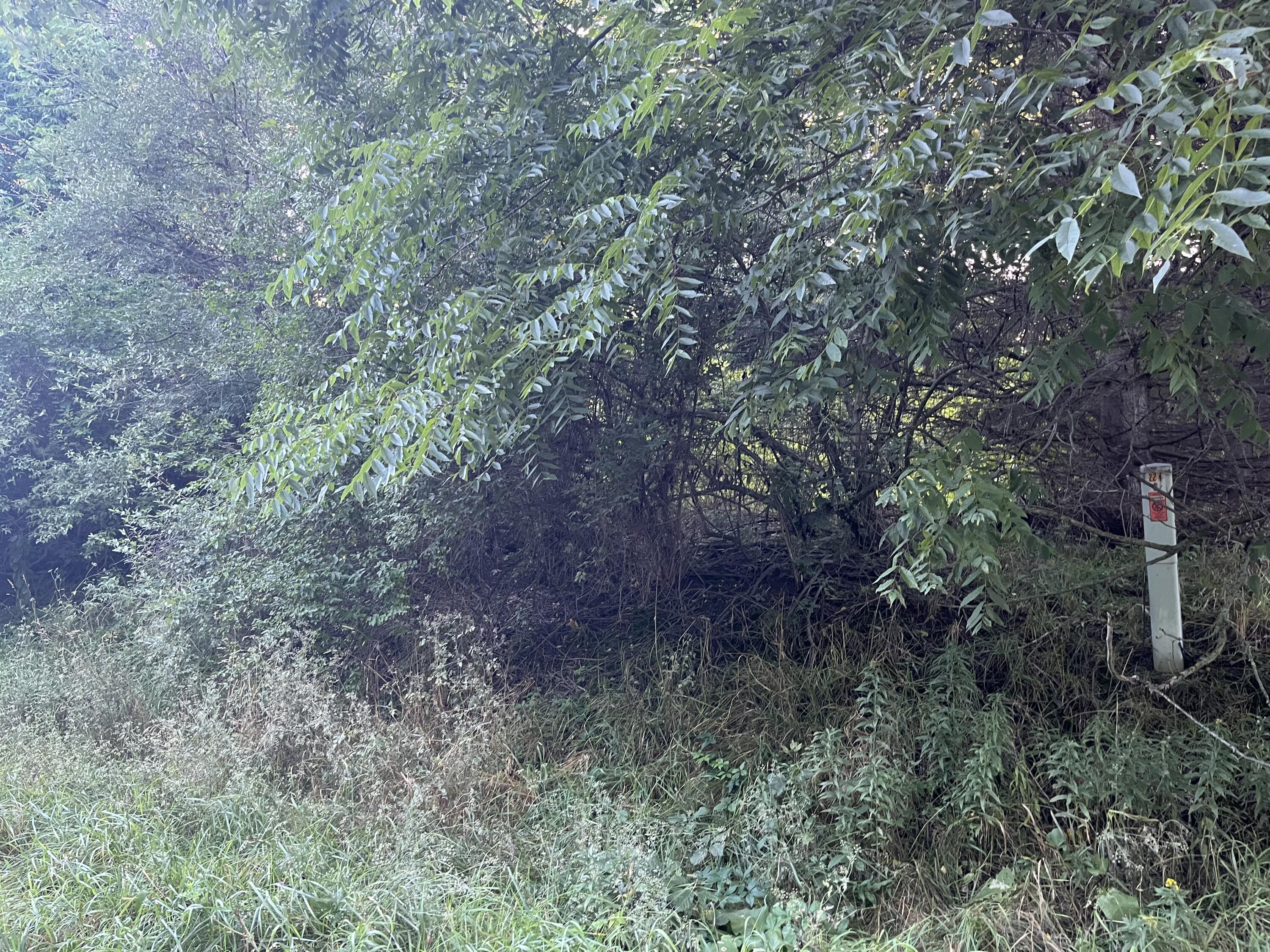 1266 North Cedar Lane Road Scottville, MI 49454 - Photo 19 of 21 Vacant land 1