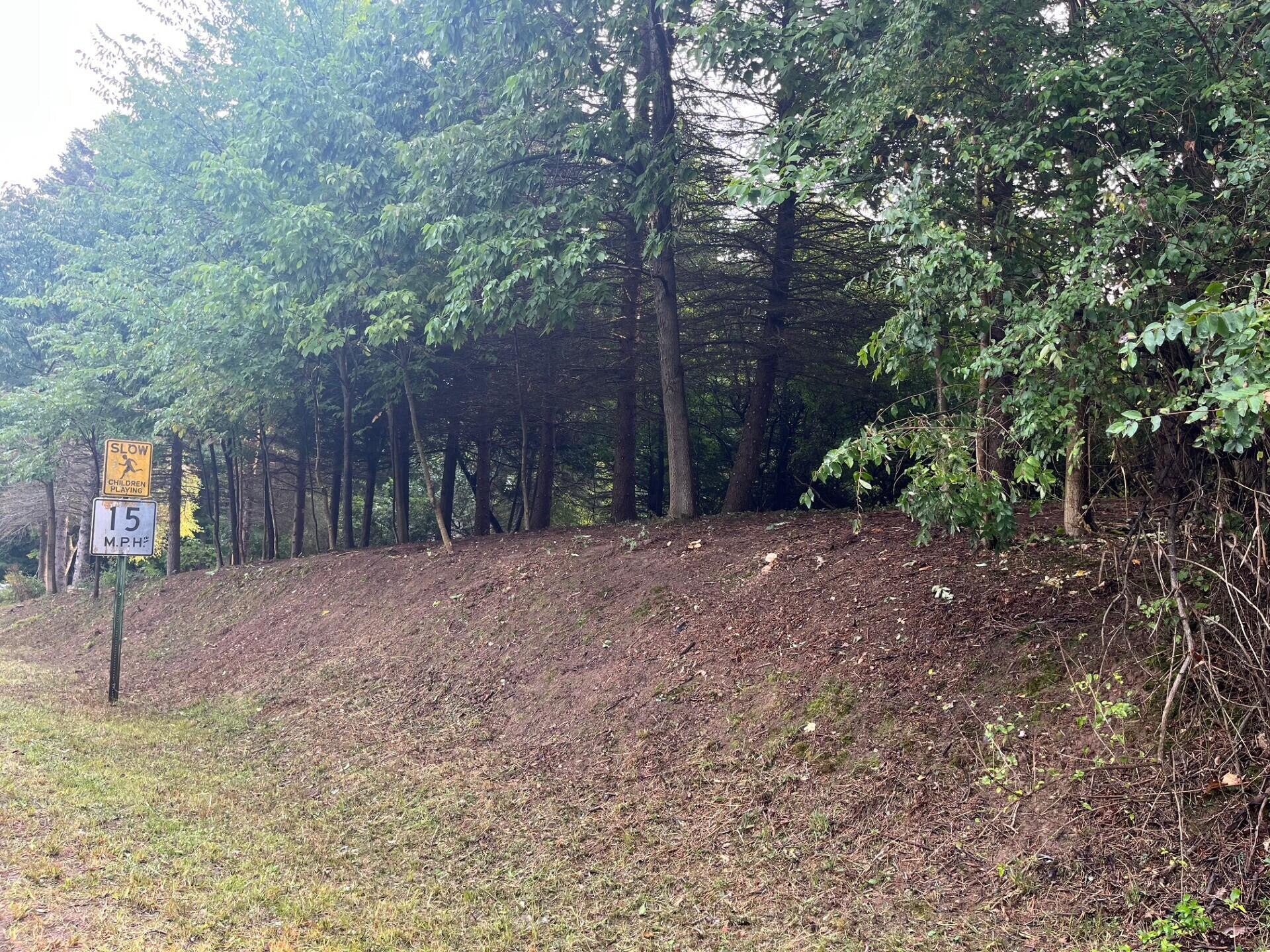 1266 North Cedar Lane Road Scottville, MI 49454 - Photo 2 of 21 Cedar Lane- Cleared Brush