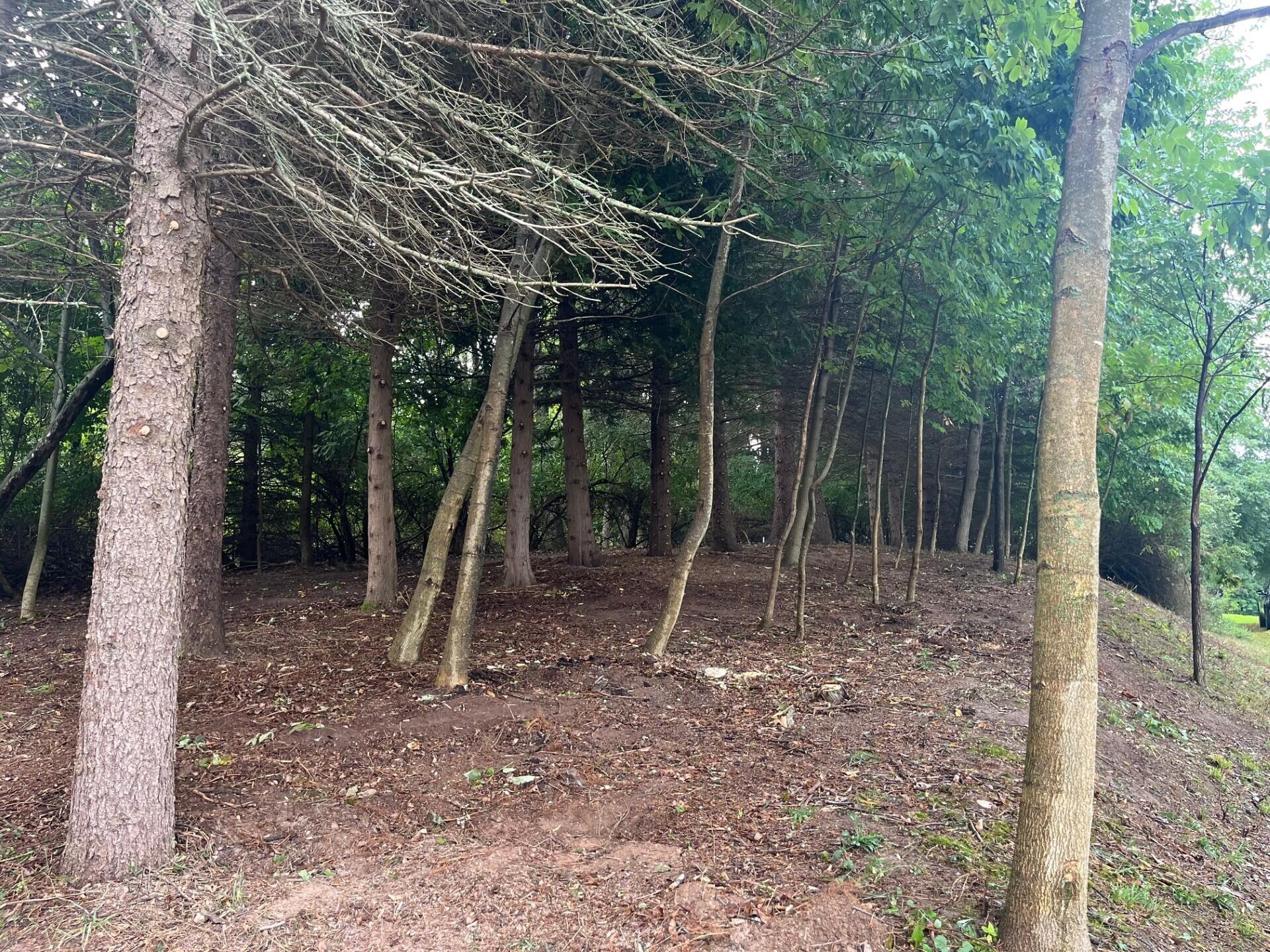 1266 North Cedar Lane Road Scottville, MI 49454 - Photo 4 of 21 cedar land photo 4