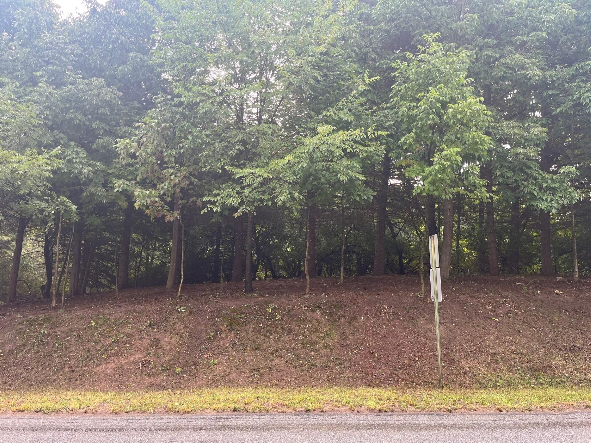 1266 North Cedar Lane Road Scottville, MI 49454 - Photo 5 of 21 Cedar Lane-Cleared Brush