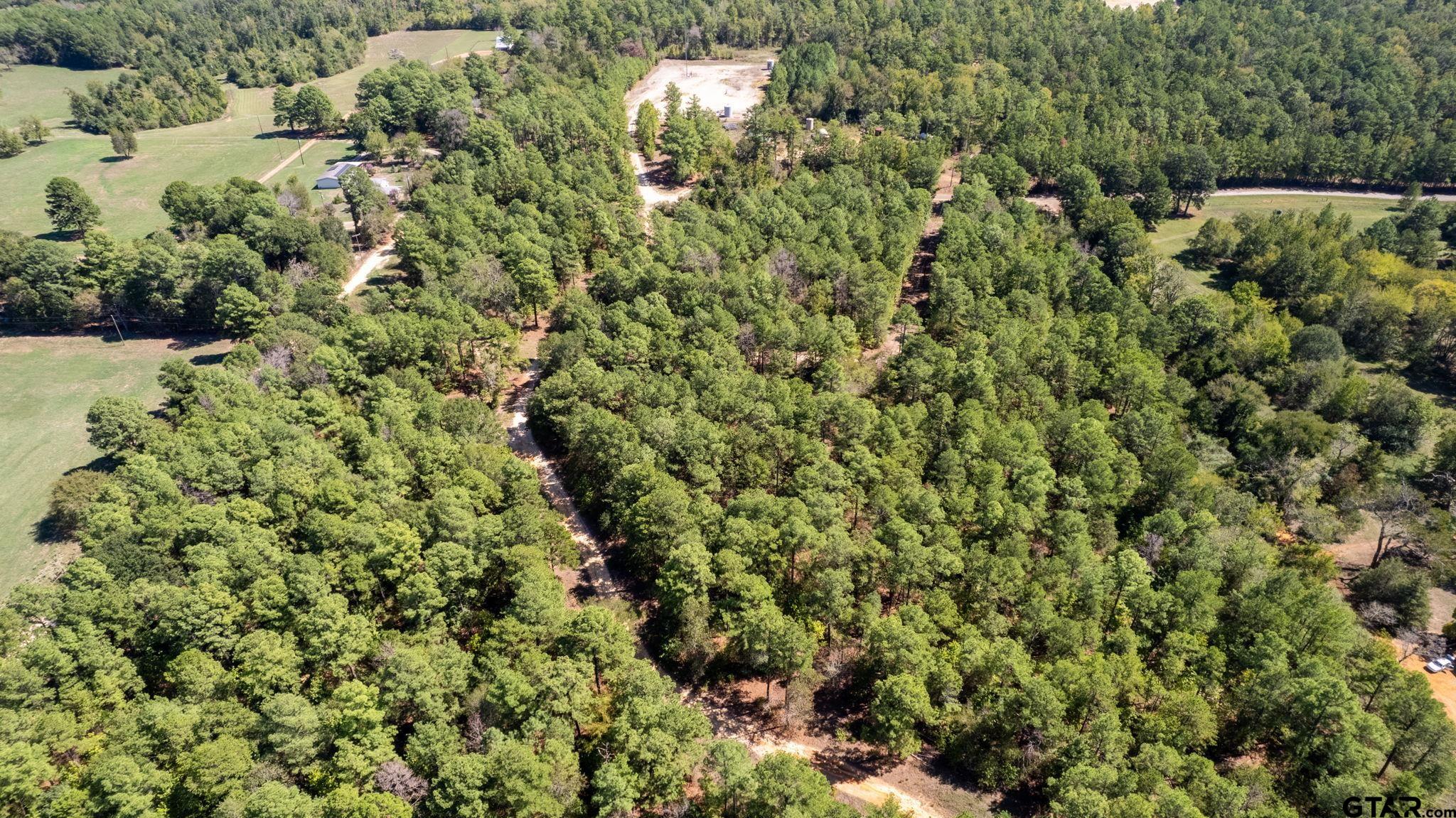 18596 County Road 2154 Troup, TX 75789 - Photo 15 of 21 a view of a house with a lush green forest