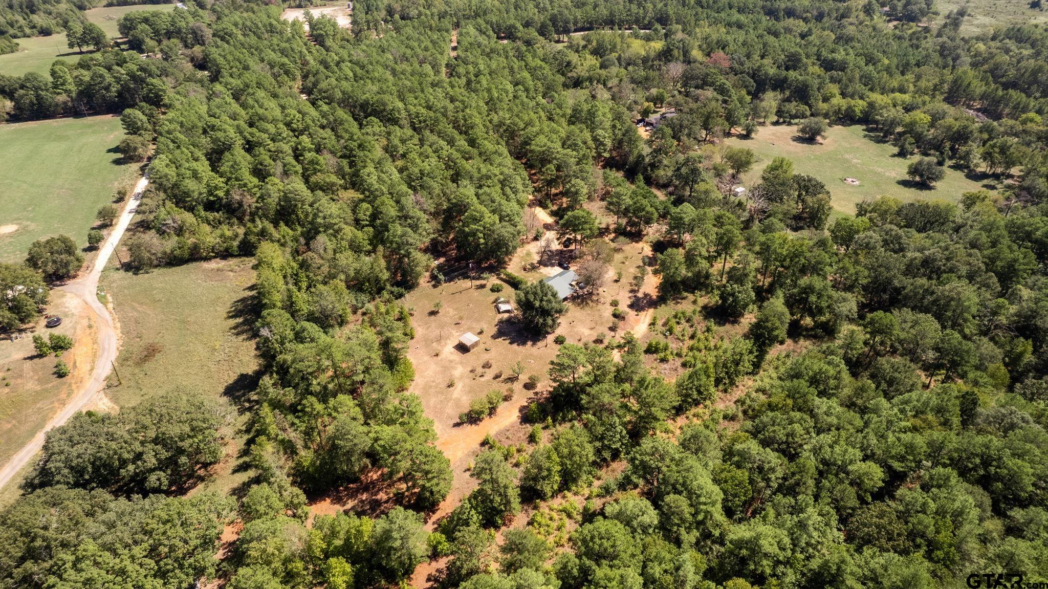 18596 County Road 2154 Troup, TX 75789 - Photo 16 of 21 a view of a forest with a house