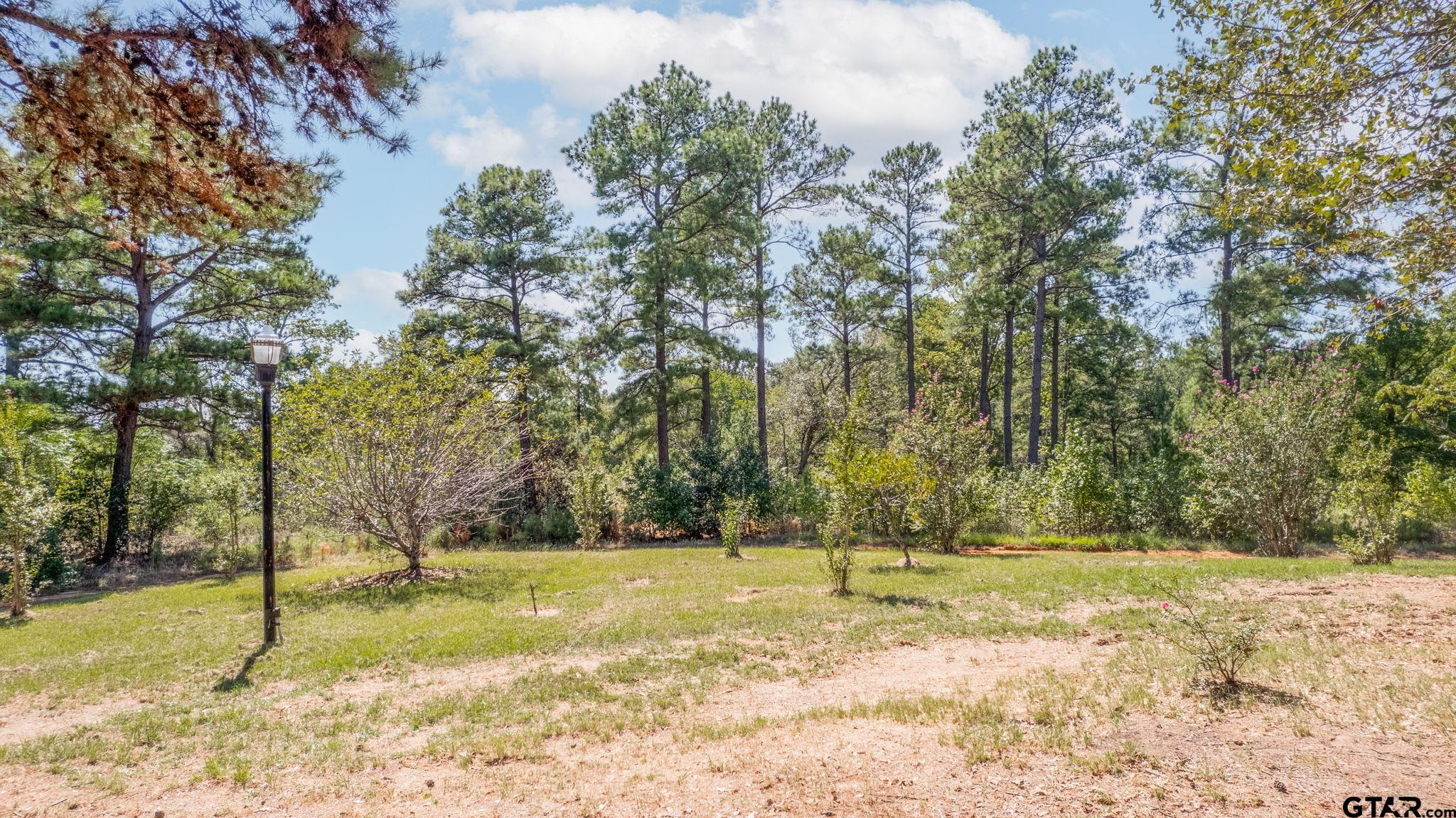 18596 County Road 2154 Troup, TX 75789 - Photo 18 of 21 a view of a yard with trees