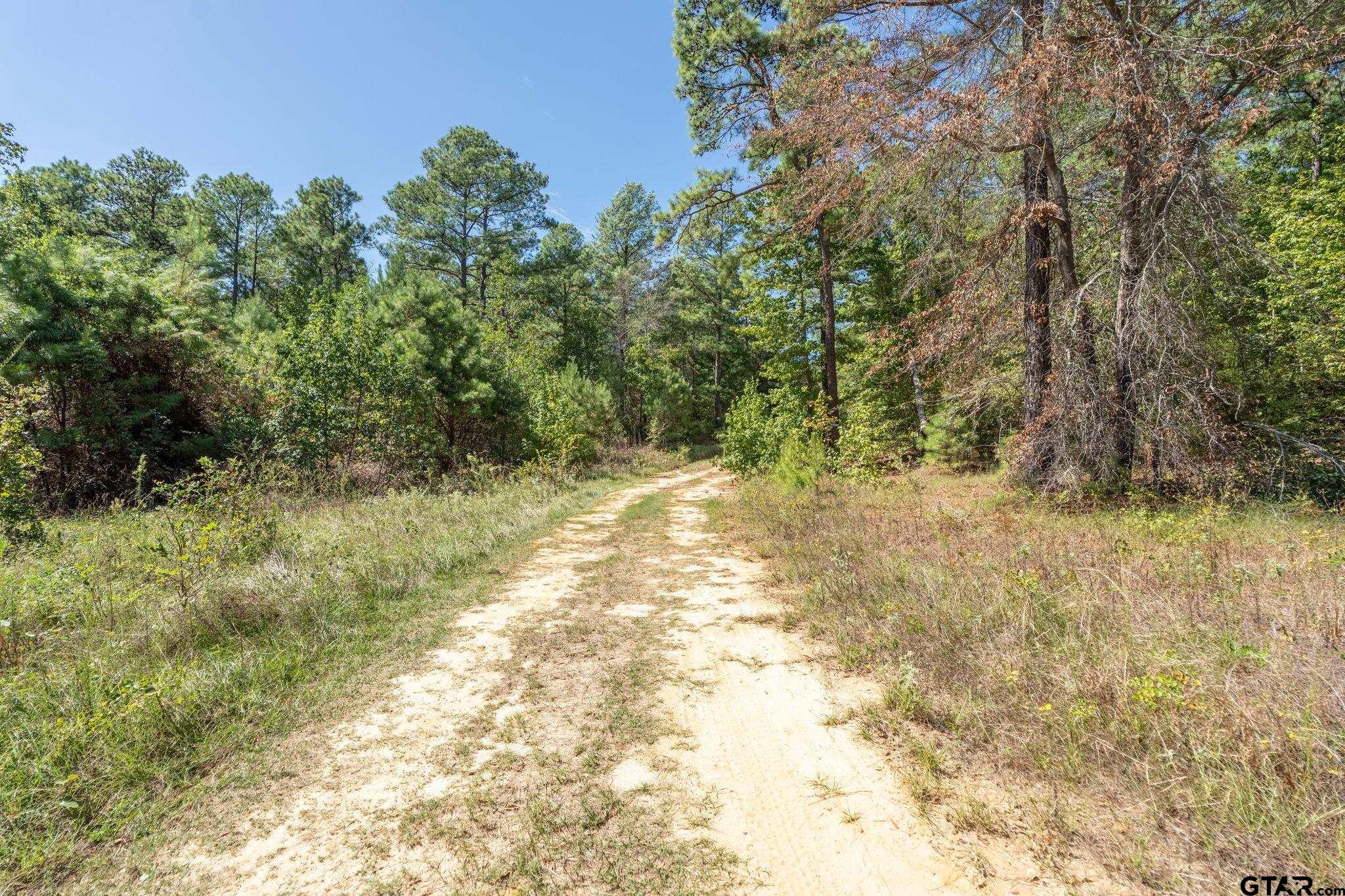 18596 County Road 2154 Troup, TX 75789 - Photo 21 of 21 a view of backyard with green space