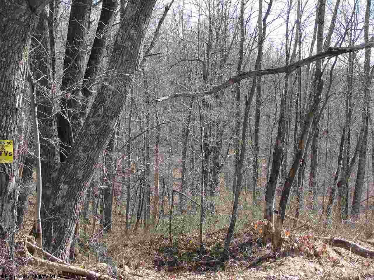 Foster Street Buckhannon, WV 26201 - Photo 15 of 15 Gallery Image 15