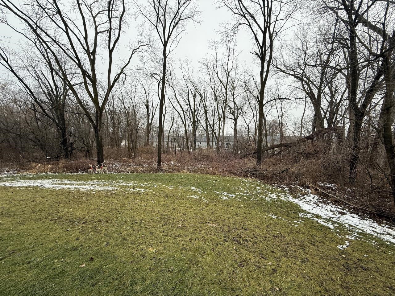 238 Russell Court Jefferson, WI 53549 - Photo 3 of 23