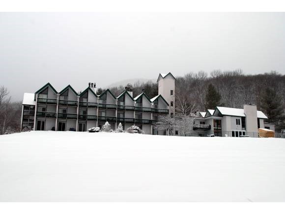 325 Fiddlehead Road, Unit 1 Fayston, VT 05673 - Photo 1 of 1 Gallery Image 1