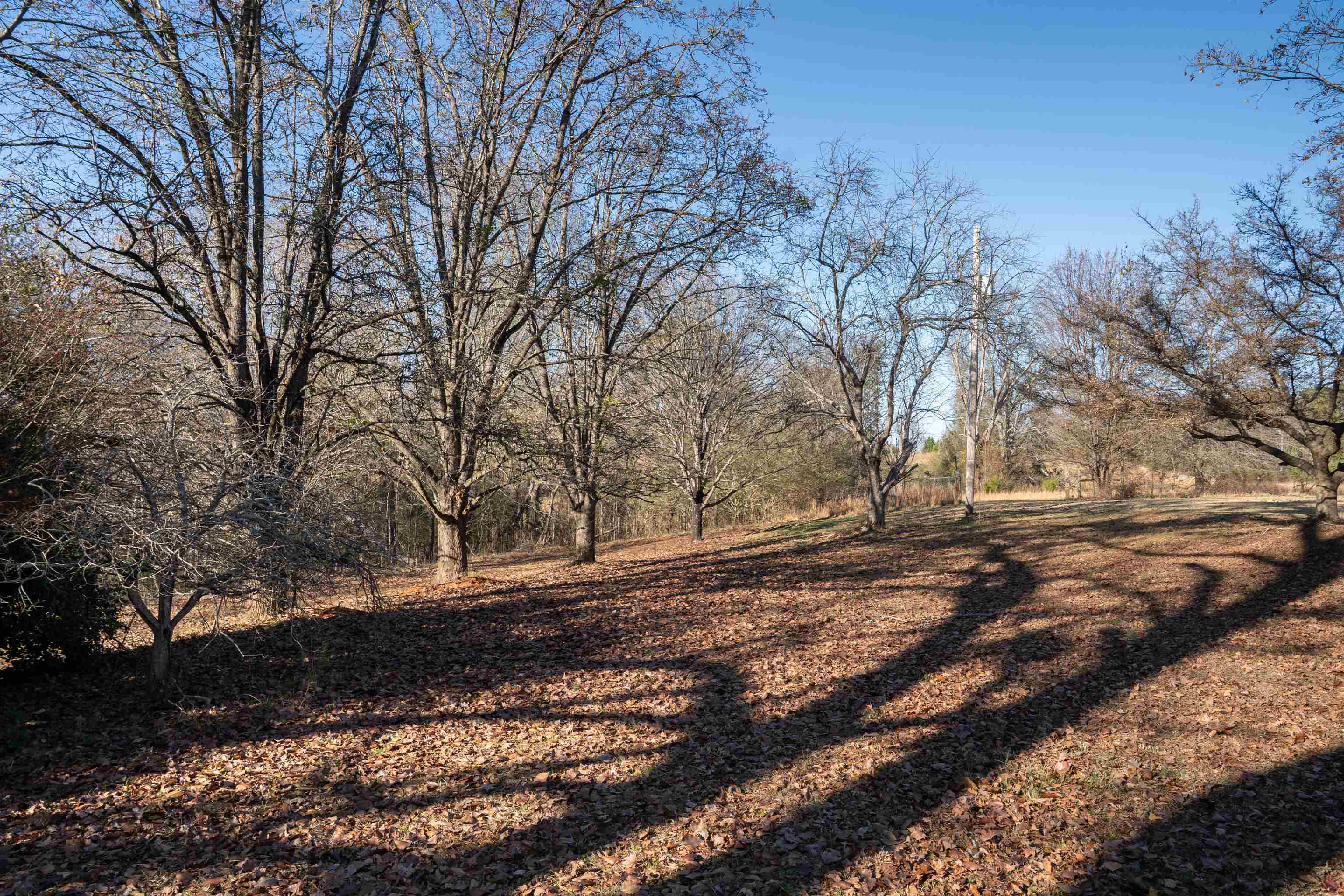 969 Anderson Road Chesnee, SC 29323 - Photo 27 of 35