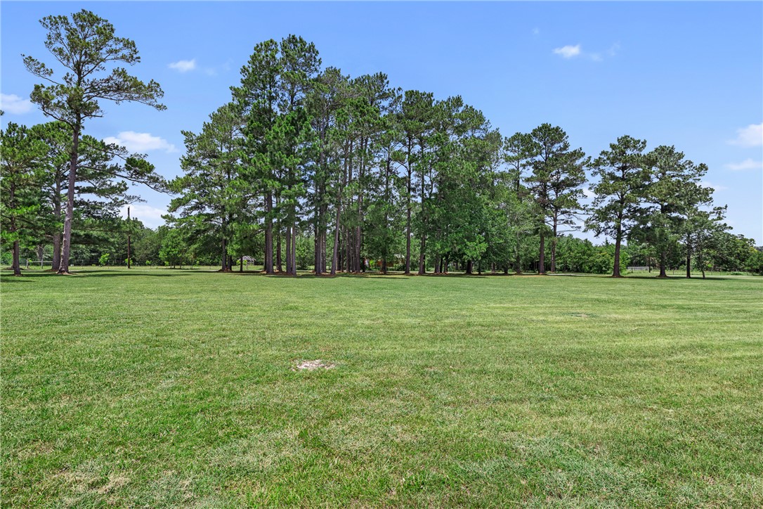 237 Morgan Road, Unit COUNTYROAD Bedias, TX 77831 - Photo 29 of 47