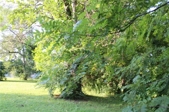 $45,000 | 210-214 Springdale Avenue, Bonner Springs, KS 66012