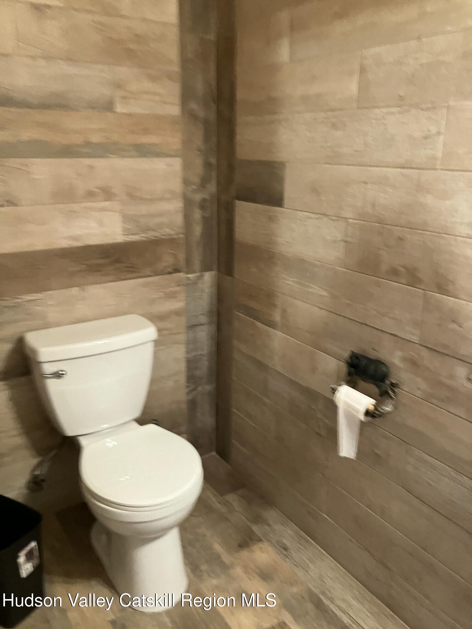 38 Bethel Ridge Road Catskill, NY 12414 - Photo 11 of 50 IMG_0898