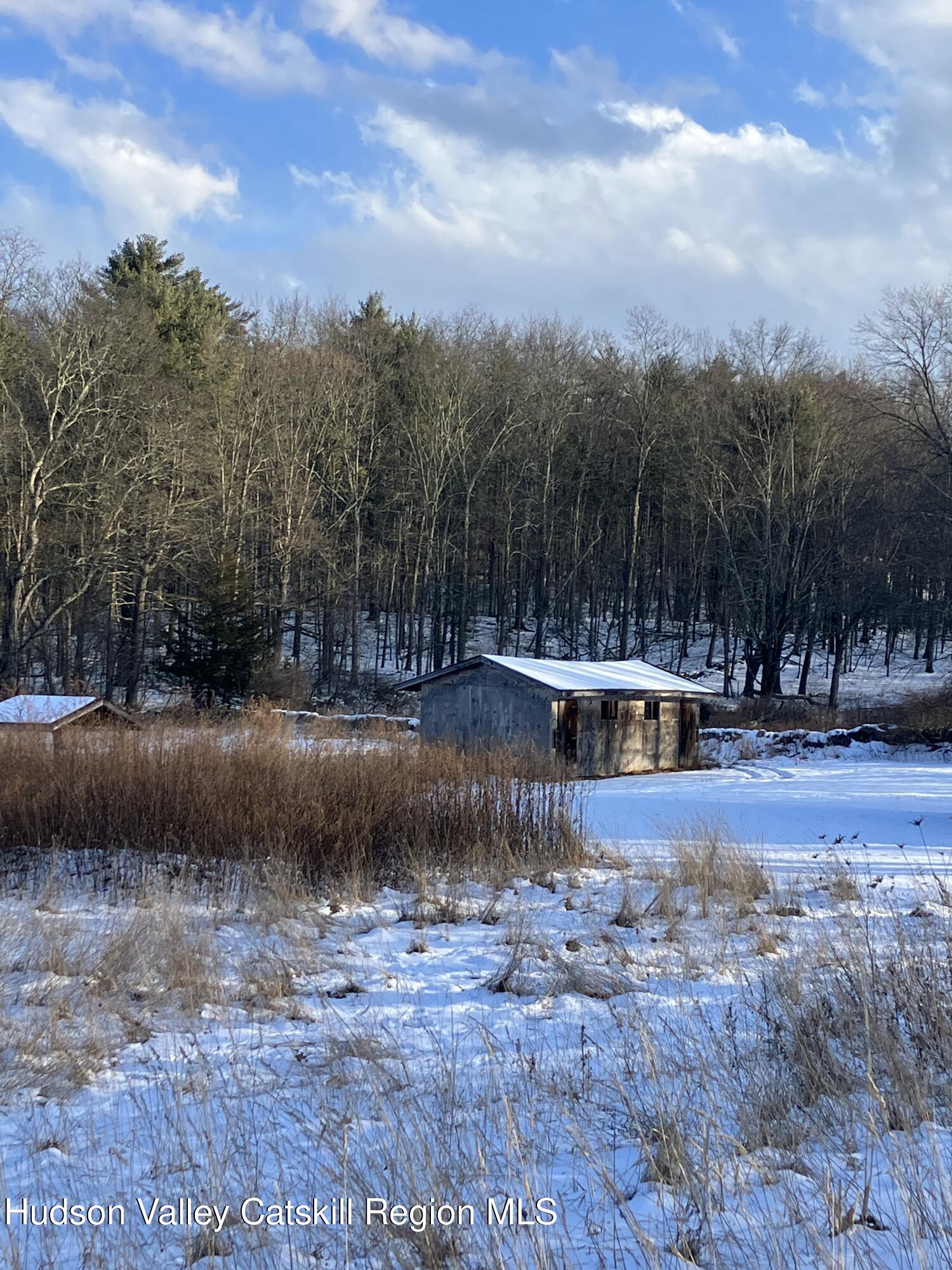 38 Bethel Ridge Road Catskill, NY 12414 - Photo 4 of 50 IMG_0980