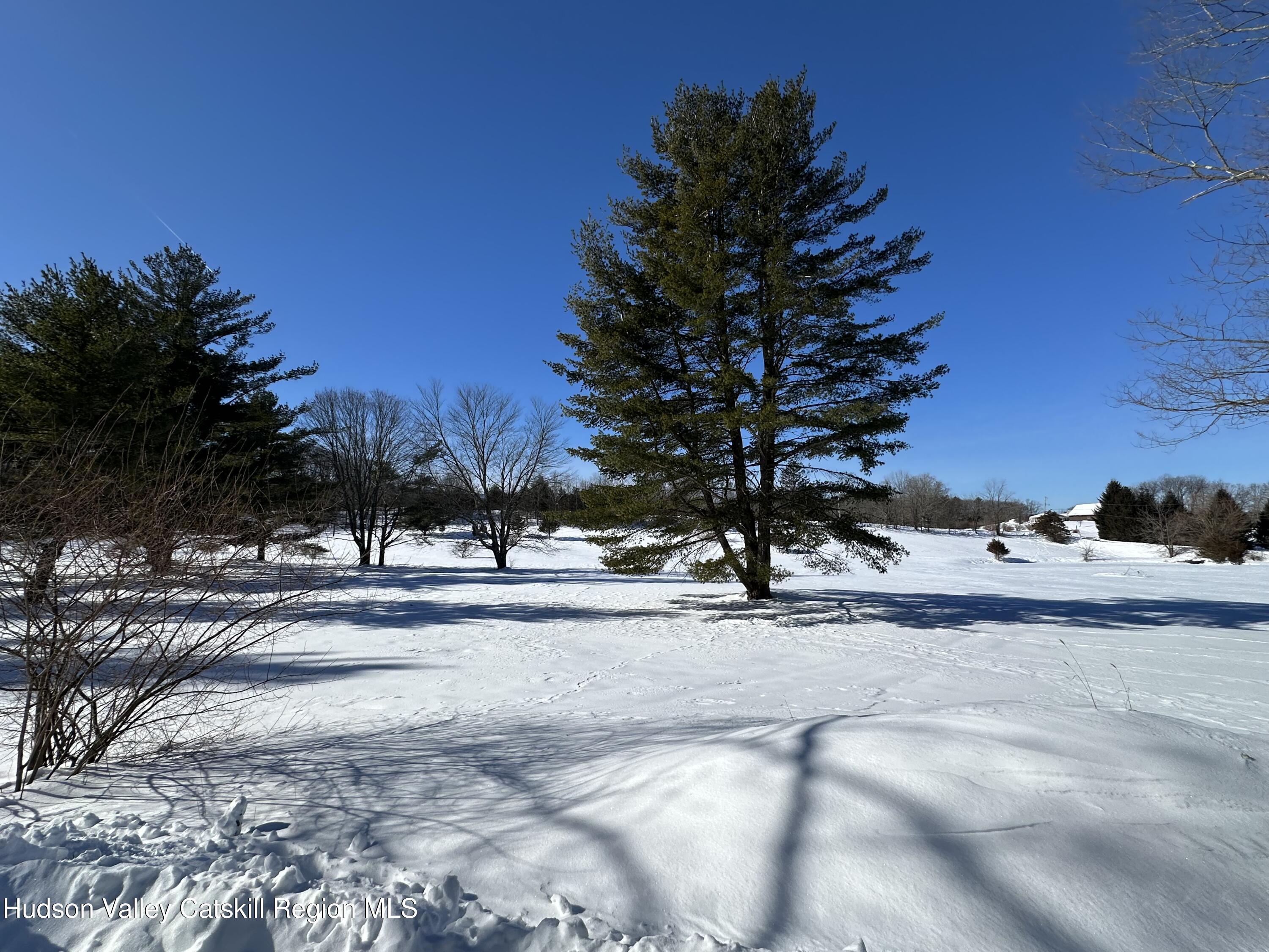 38 Bethel Ridge Road Catskill, NY 12414 - Photo 5 of 52 a view of street with with trees
