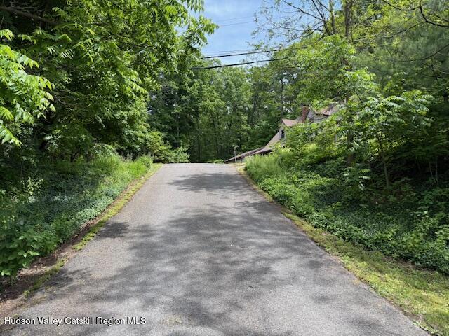 53 5 Mile Woods Road Catskill, NY 12414 - Photo 4 of 17 #4