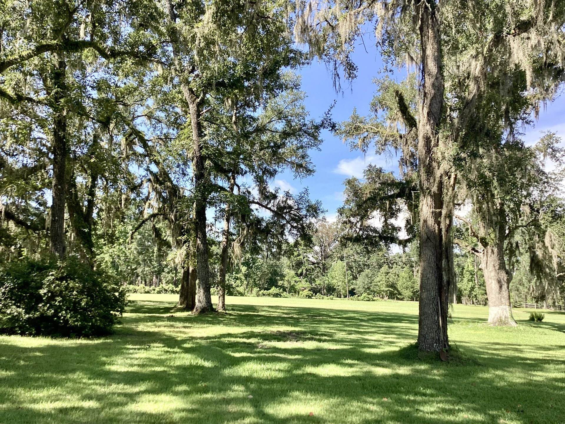 339 Silver Lake Road Monticello, FL 32344 - Photo 37 of 41