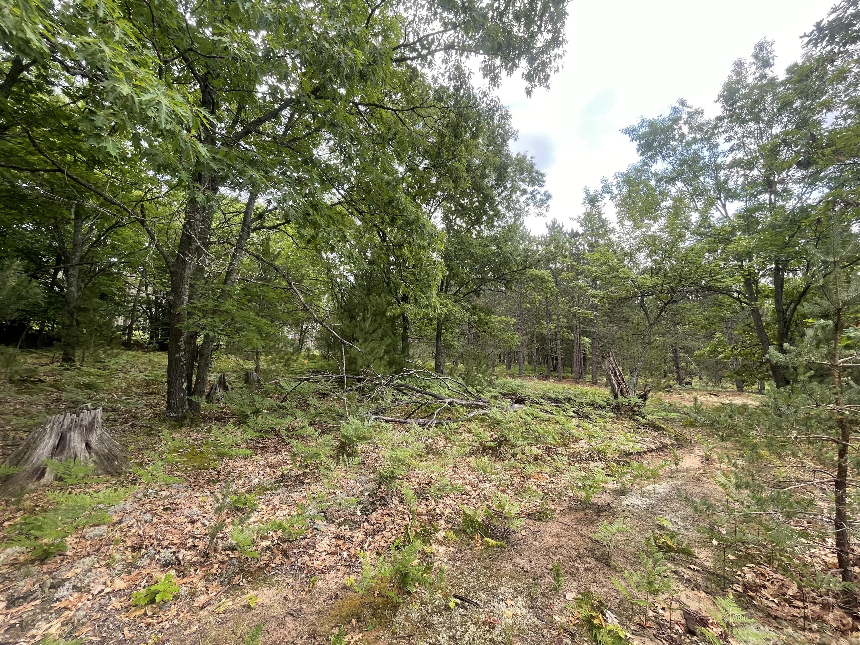 8255 West Cutcheon Road Manton, MI 49663 - Photo 21 of 41 20
