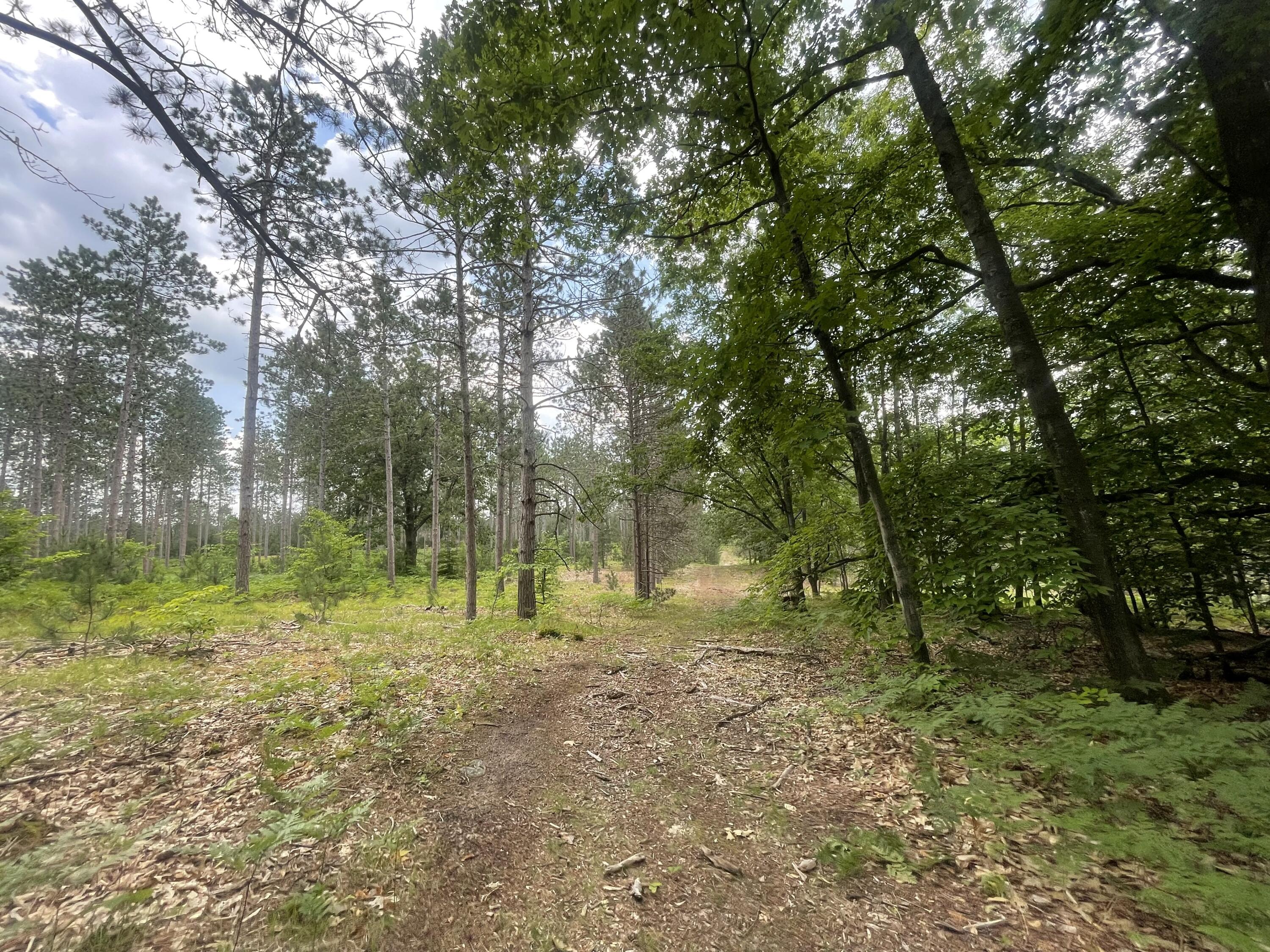 8255 West Cutcheon Road Manton, MI 49663 - Photo 23 of 41 22