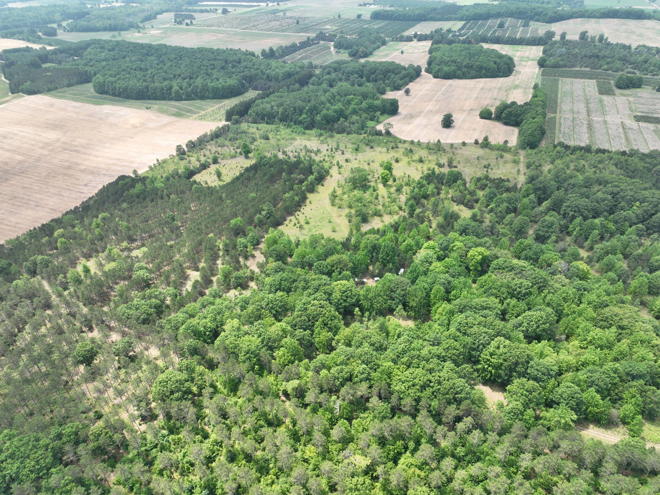 8255 West Cutcheon Road Manton, MI 49663 - Photo 27 of 41 DJI_0597
