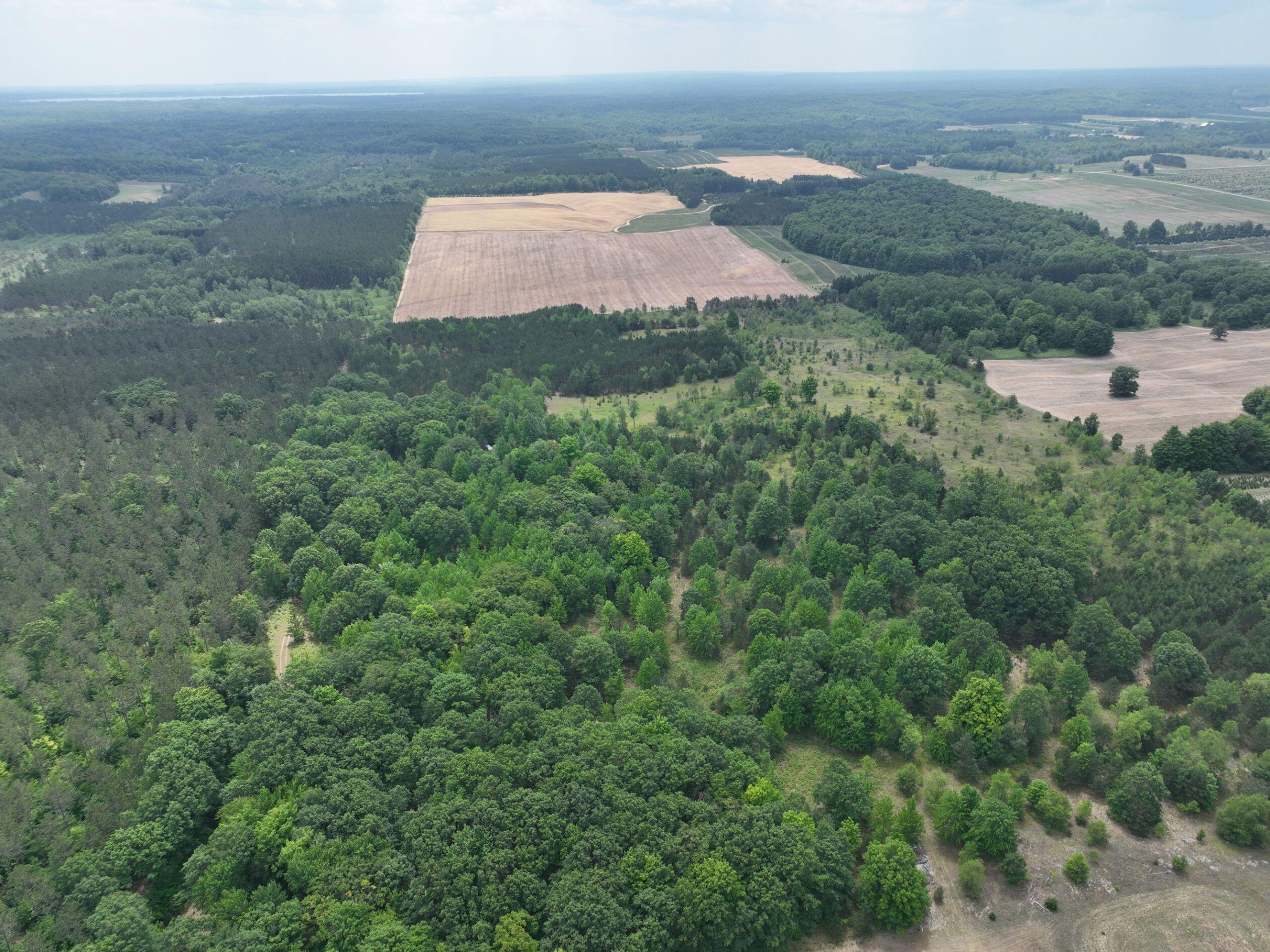 8255 West Cutcheon Road Manton, MI 49663 - Photo 30 of 41 DJI_0605