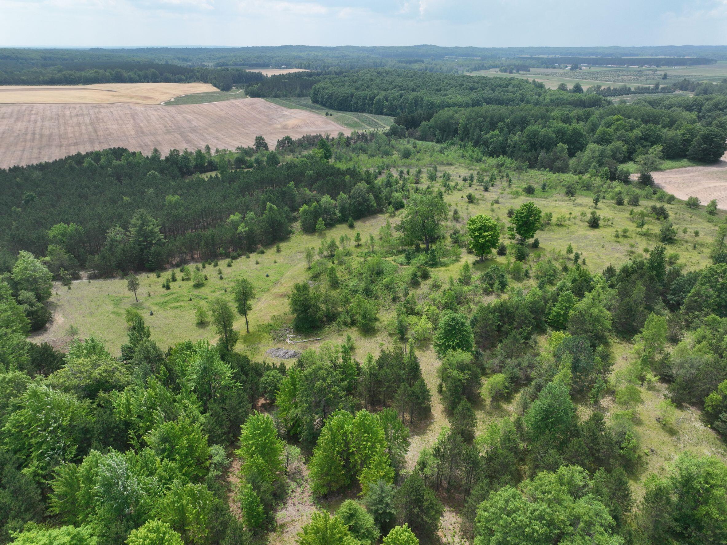 8255 West Cutcheon Road Manton, MI 49663 - Photo 33 of 41 DJI_0618