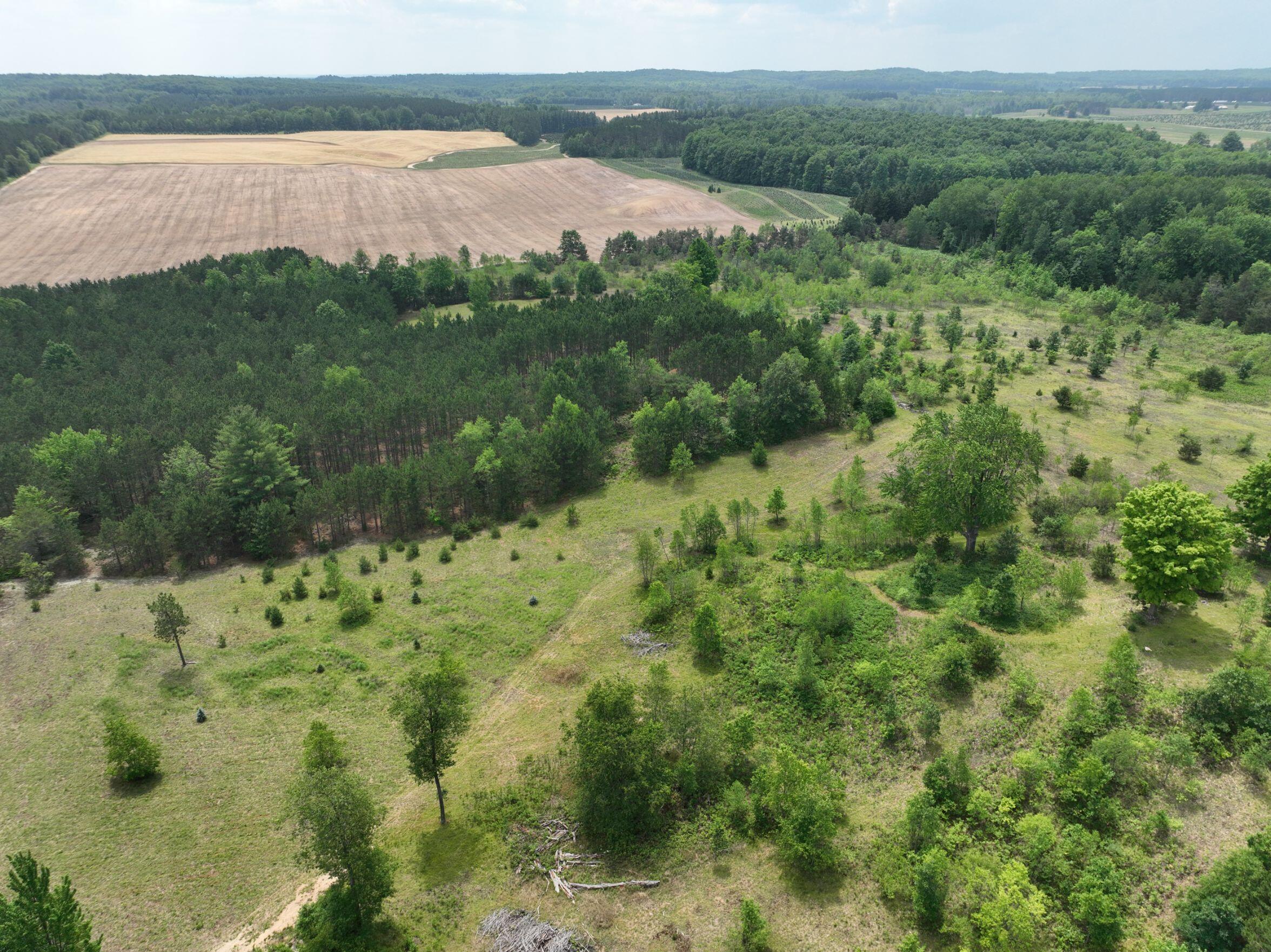 8255 West Cutcheon Road Manton, MI 49663 - Photo 34 of 41 DJI_0619
