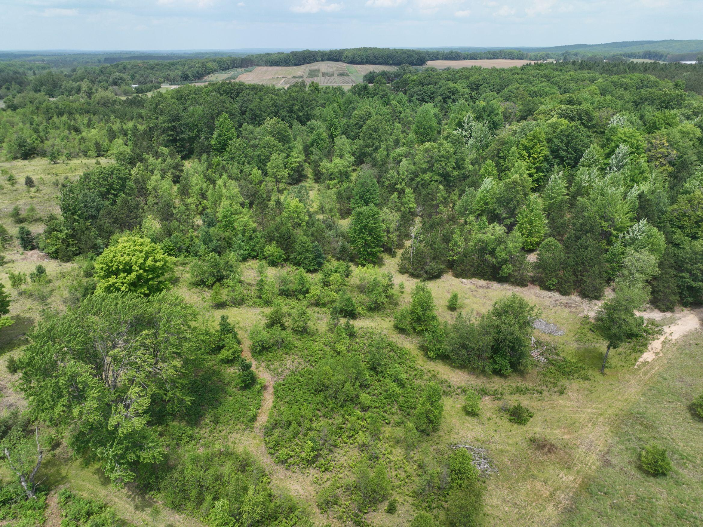 8255 West Cutcheon Road Manton, MI 49663 - Photo 38 of 41 DJI_0624