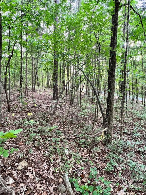 1 Union Road Matthews, NC 28104 - Photo 18 of 20 Gallery Image 18