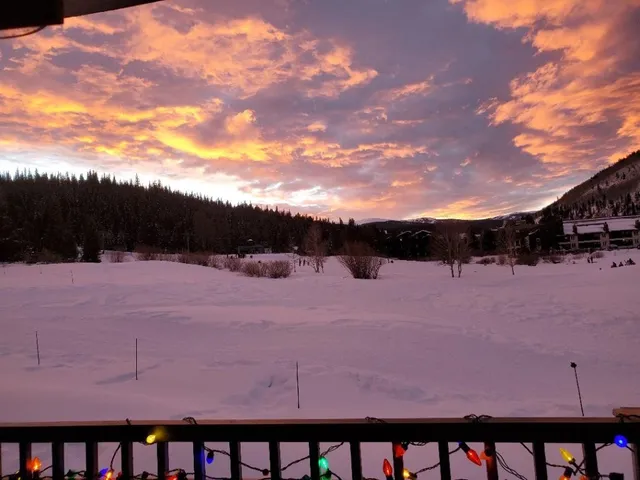 a view of a green field