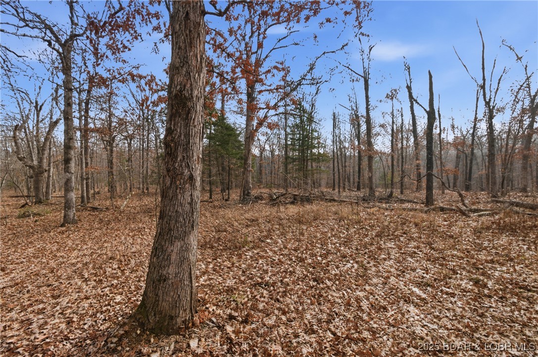 280 Quantrill Hollow Road Montreal, MO 65591 - Photo 12 of 20