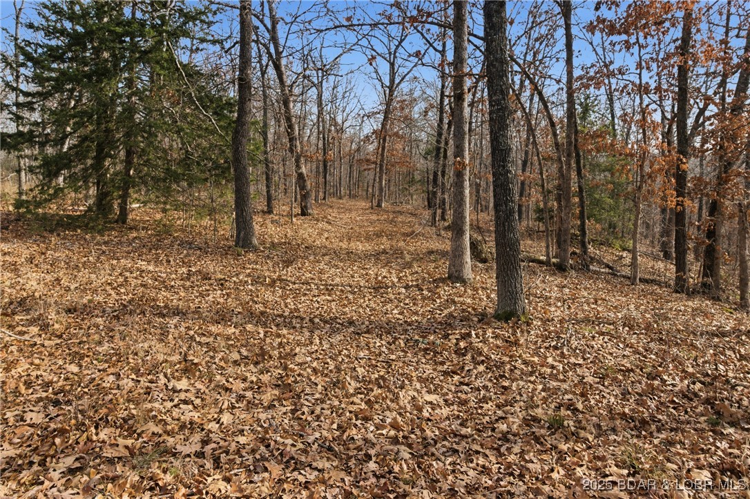 280 Quantrill Hollow Road Montreal, MO 65591 - Photo 13 of 20