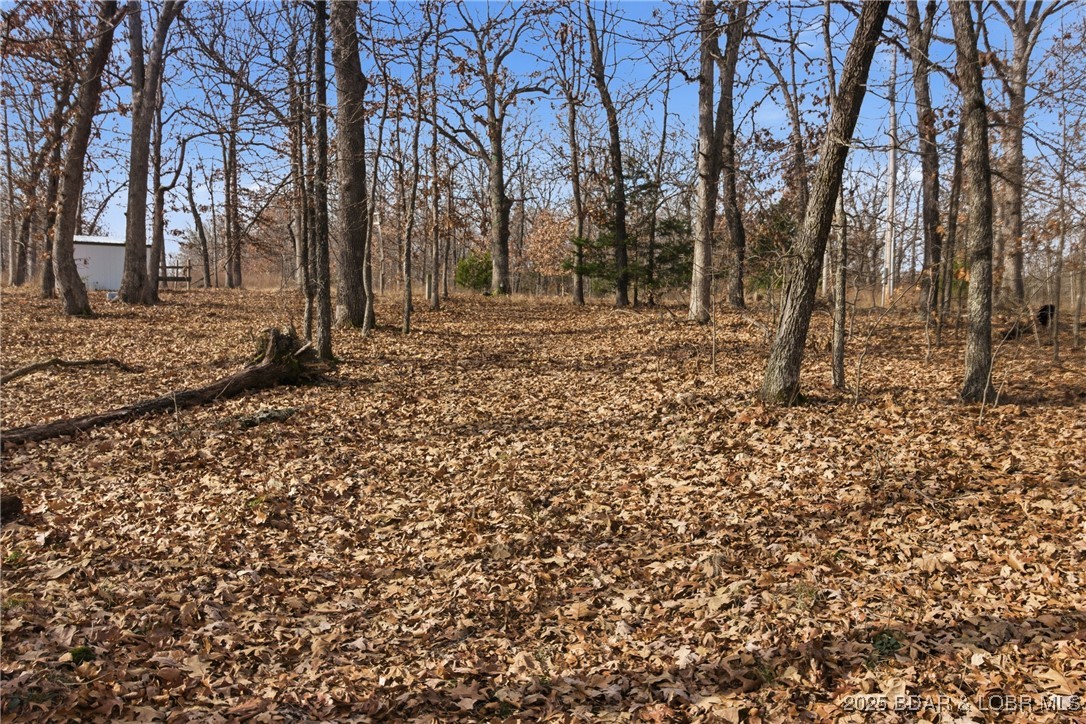 280 Quantrill Hollow Road Montreal, MO 65591 - Photo 14 of 20