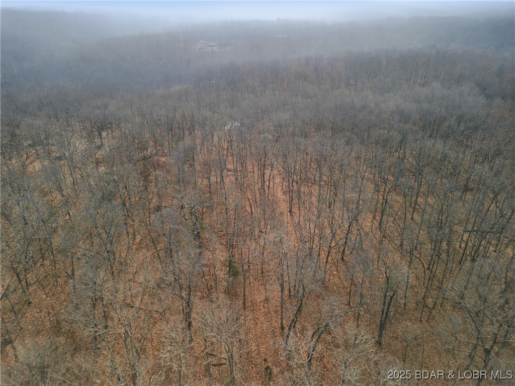 280 Quantrill Hollow Road Montreal, MO 65591 - Photo 18 of 20