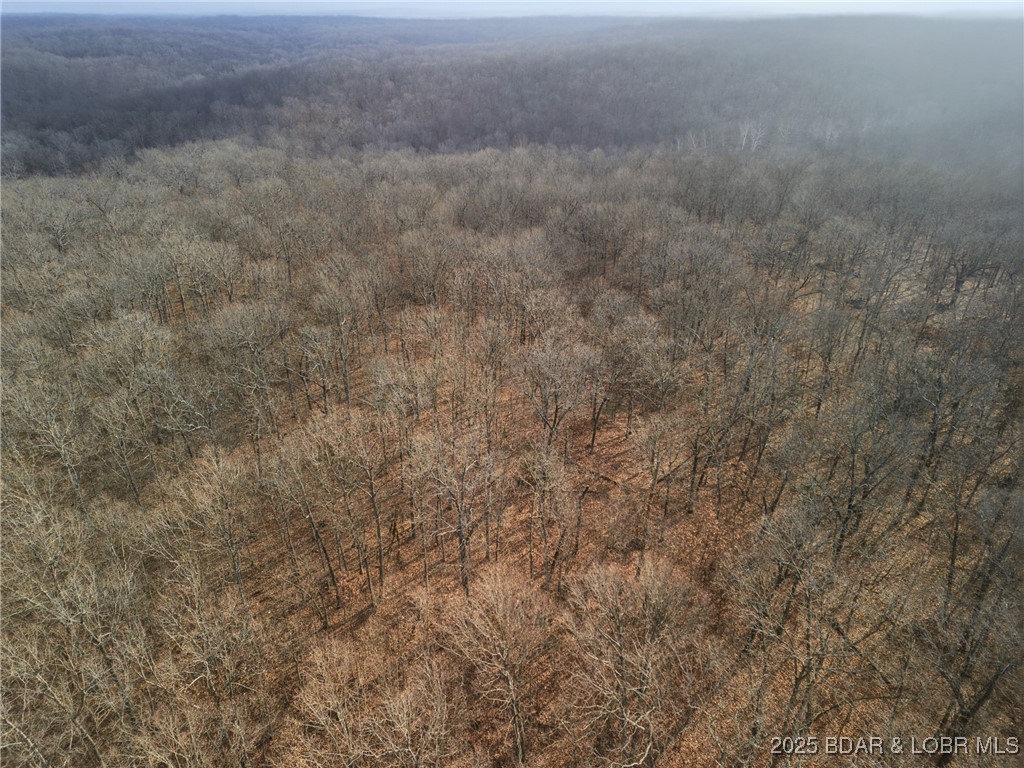 280 Quantrill Hollow Road Montreal, MO 65591 - Photo 19 of 20