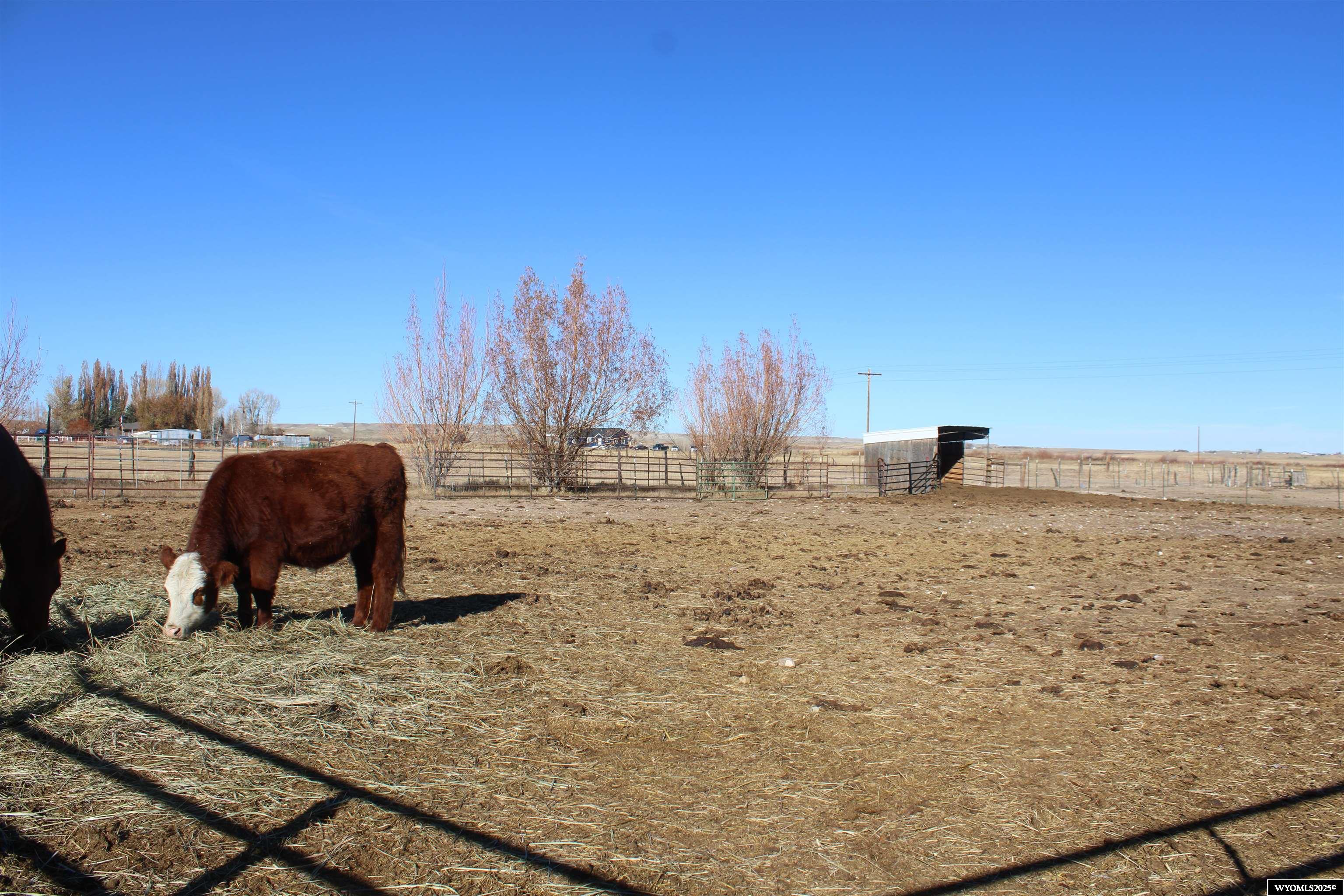 771 Emigrant Road Lyman, WY 82937 - Photo 17 of 20