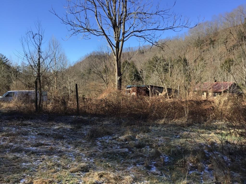 3187 State Rte 606 Keokee, VA 24265 - Photo 2 of 11 Side yard and pasture area