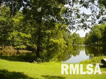 1249 Community Beach Road Odin, IL 62870 - Photo 2 of 6