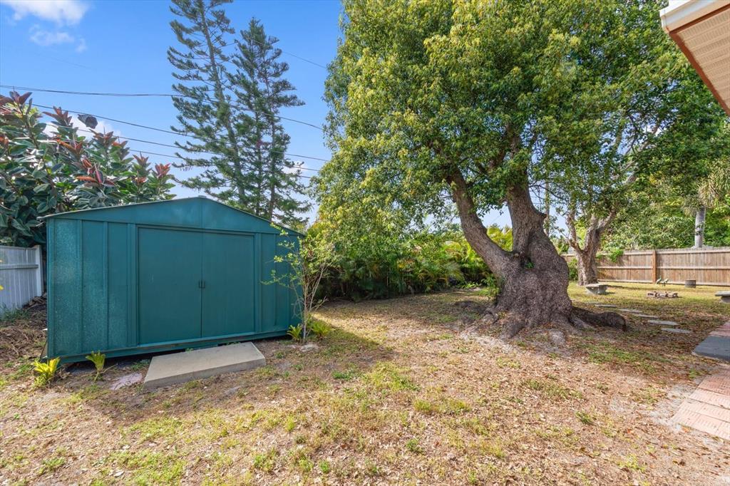 611 11th Street Northwest Largo, FL 33770 - Photo 34 of 37 a view of a backyard with large tree